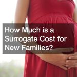 How Much is a Surrogate Cost for New Families?